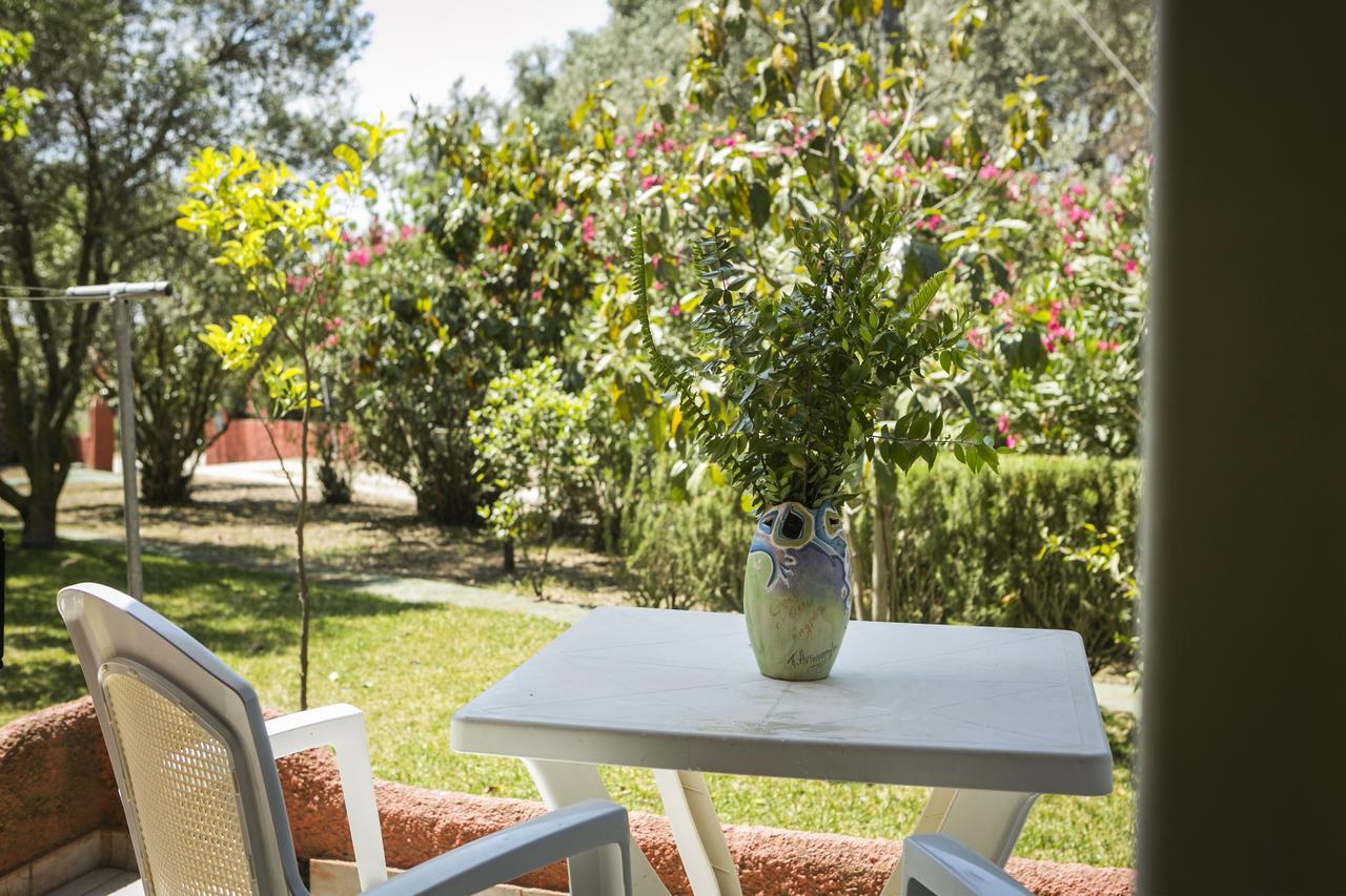 Hotel de apartamente Dendrolivano
